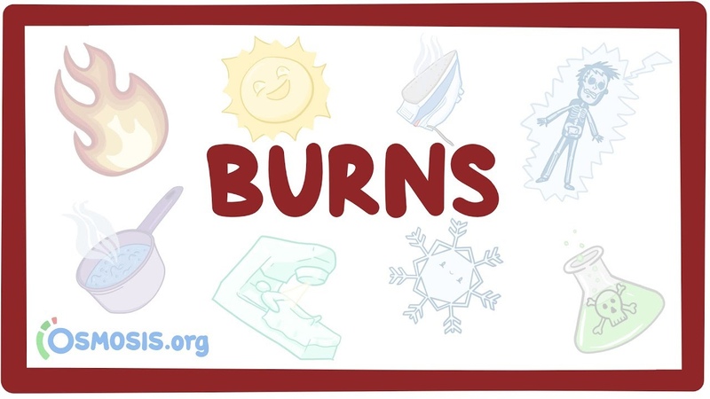 Pathogenic effects of environmental factors on the human body