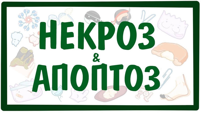 Повреждение клетки