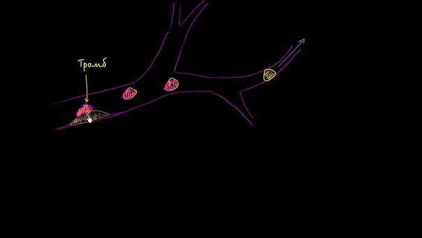 Периферическое кровообращение