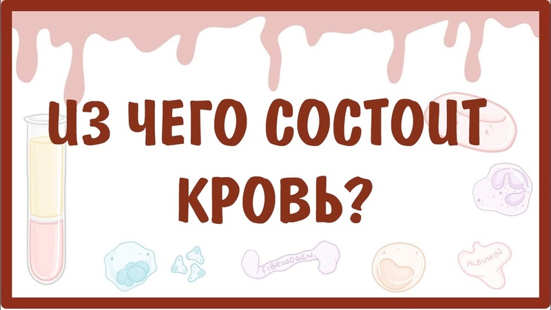 Патология системы крови. Кровопотеря