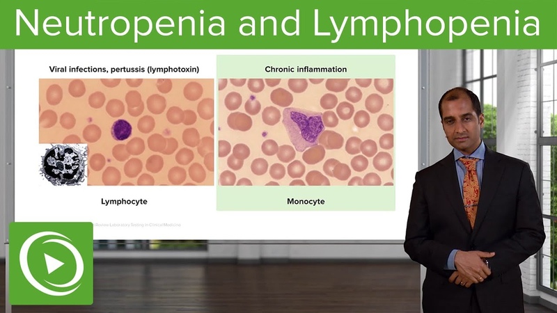 Pathophysiology of leukon