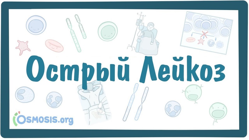 Гемобластозы. Лейкозы