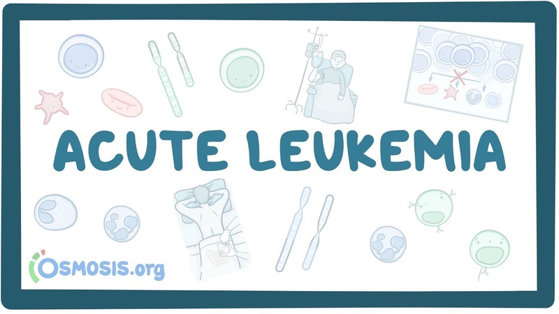 Hemoblastosis. Leukemia