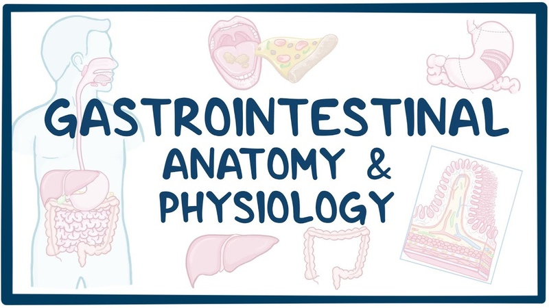 Pathophysiology of Digestive system
