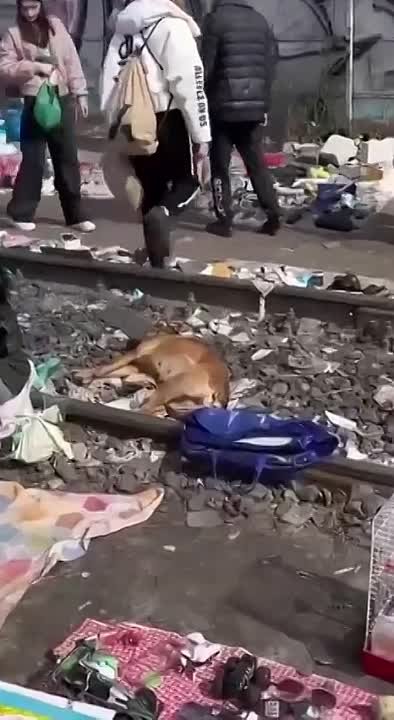 Украина - це Европа