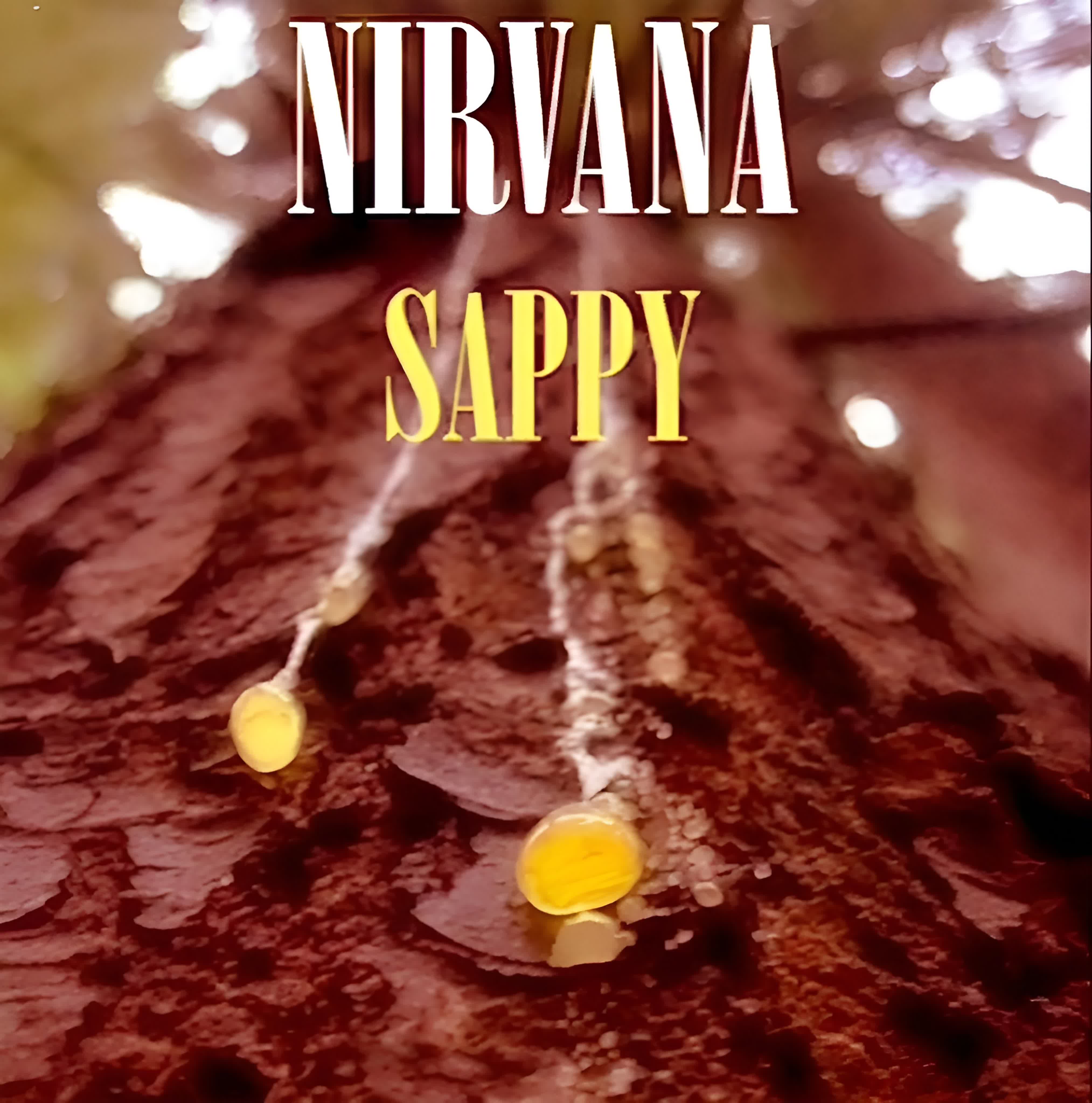 NIRVANA:B-Sides