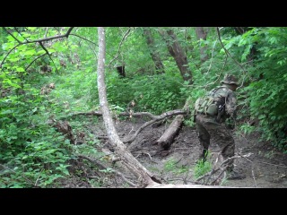 Маскировка и камуфляж