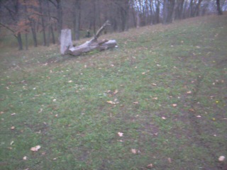 Китайский TTR250 Irbis