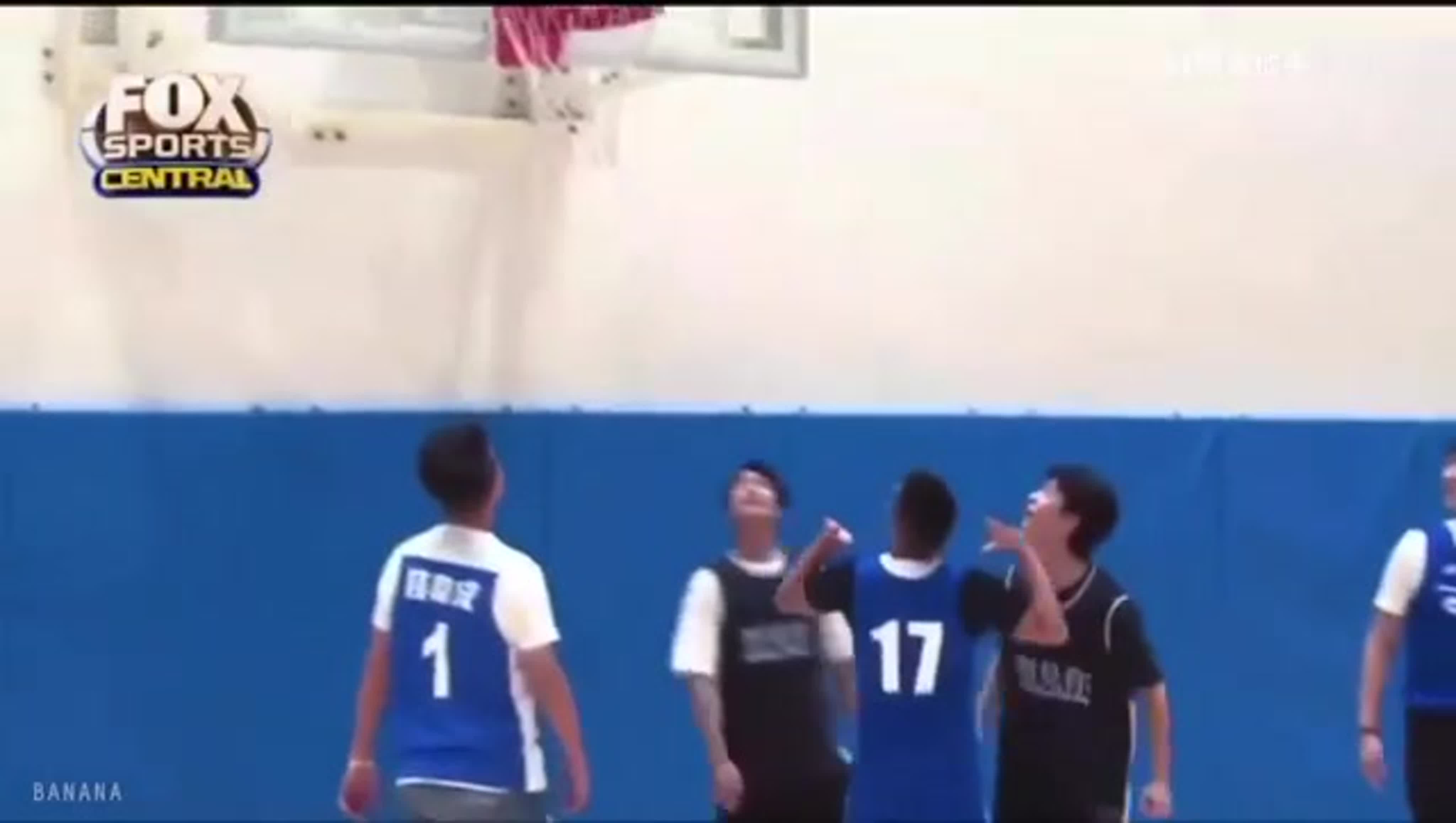 Dive In To Love/ Погружение в синюю среднюю корзину