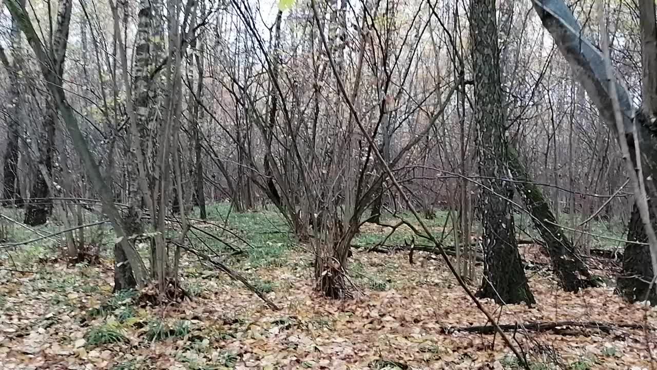 15-летие Трофи-лайф 22 октября 2022