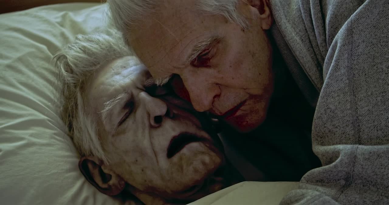 Короткометражные фильмы / Short films