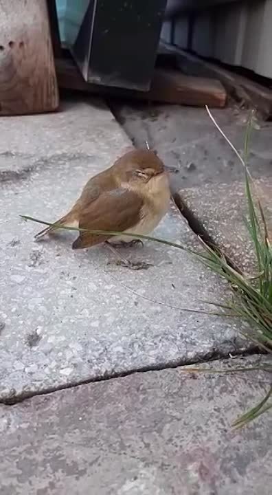 Разное интересное