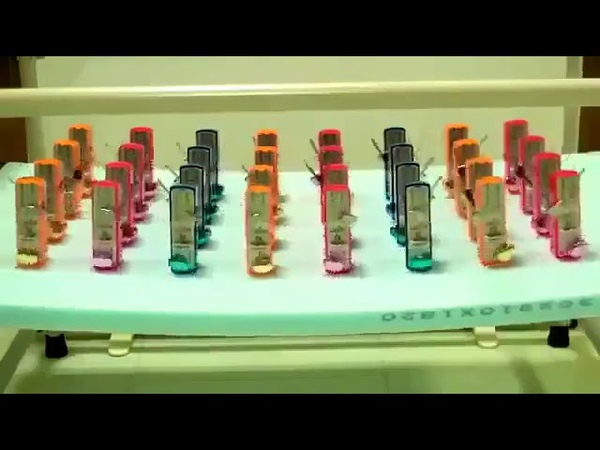 Социология