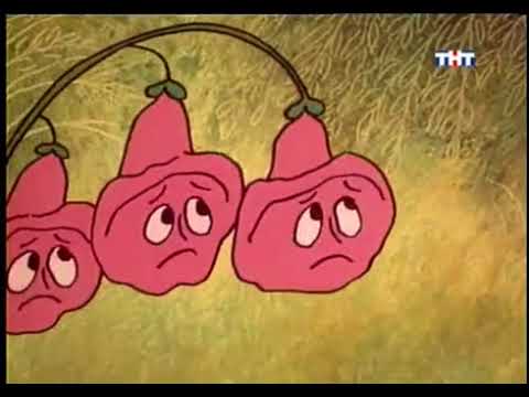 Сказки о фее Амальке