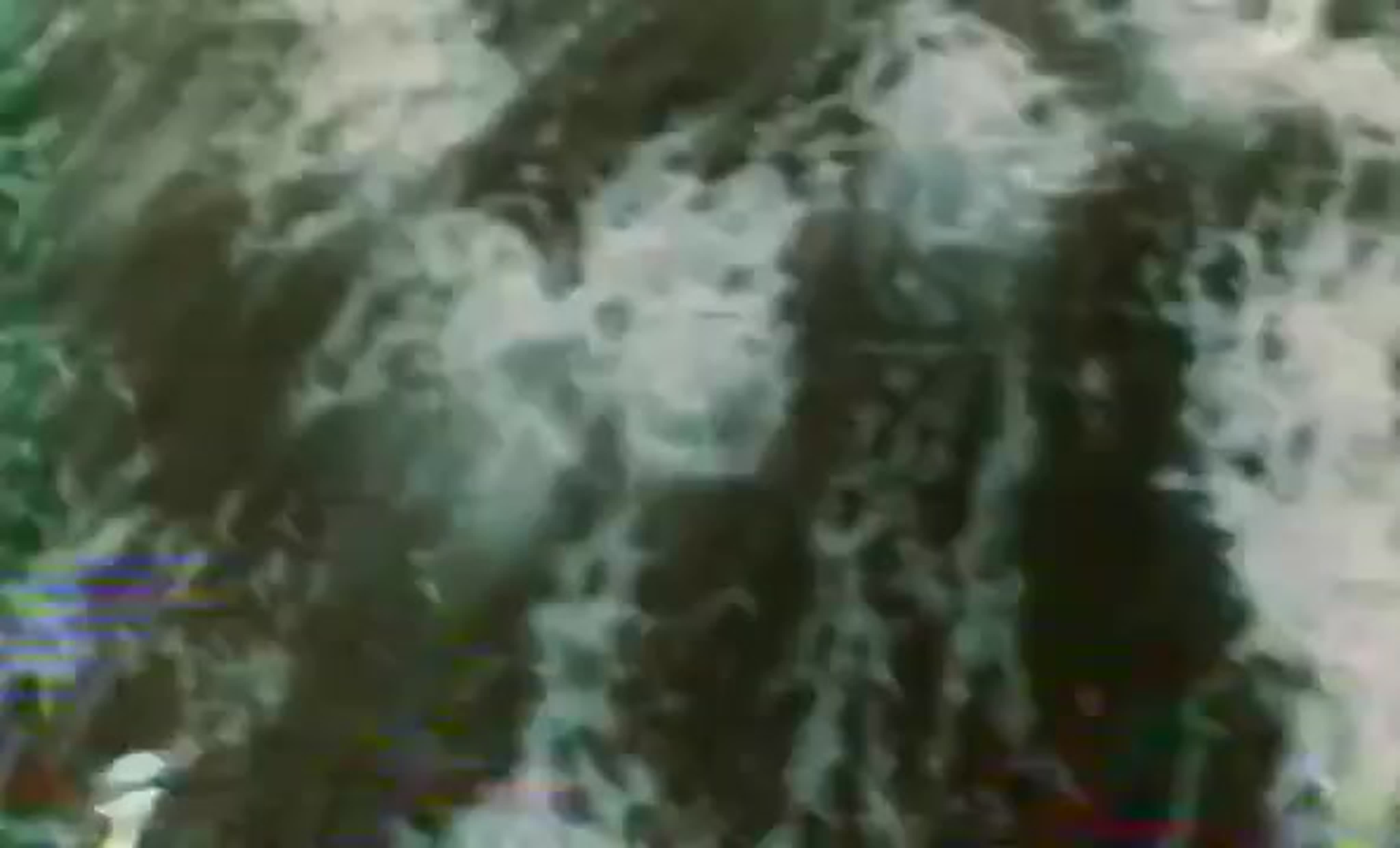 Морской альбом