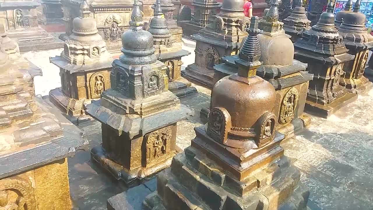 Путешествия