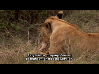 "Гений Чарльза Дарвина" (рассказ Ричарда Докинза), все части