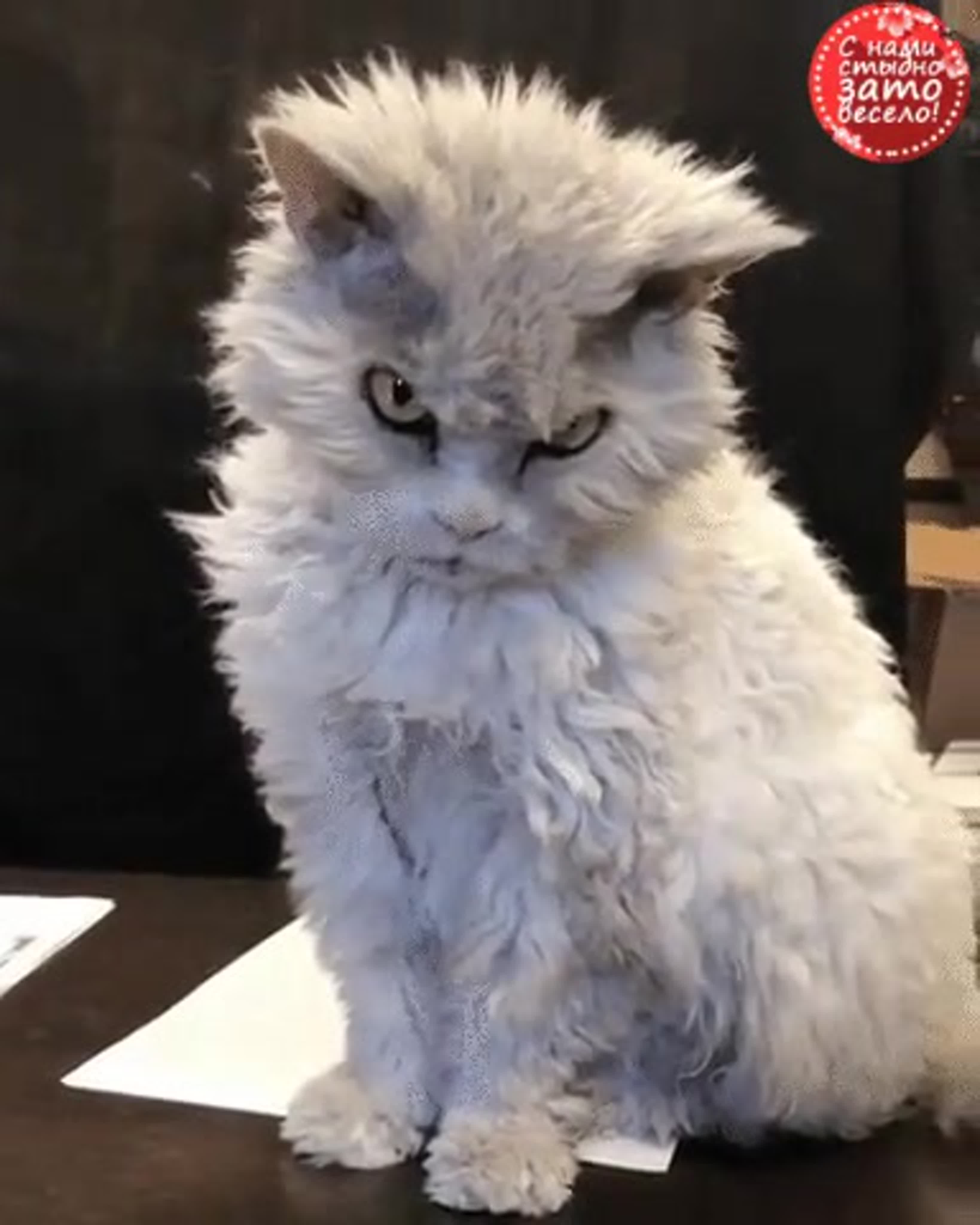 ФотоКлип > https://vk.com/videos-121226603