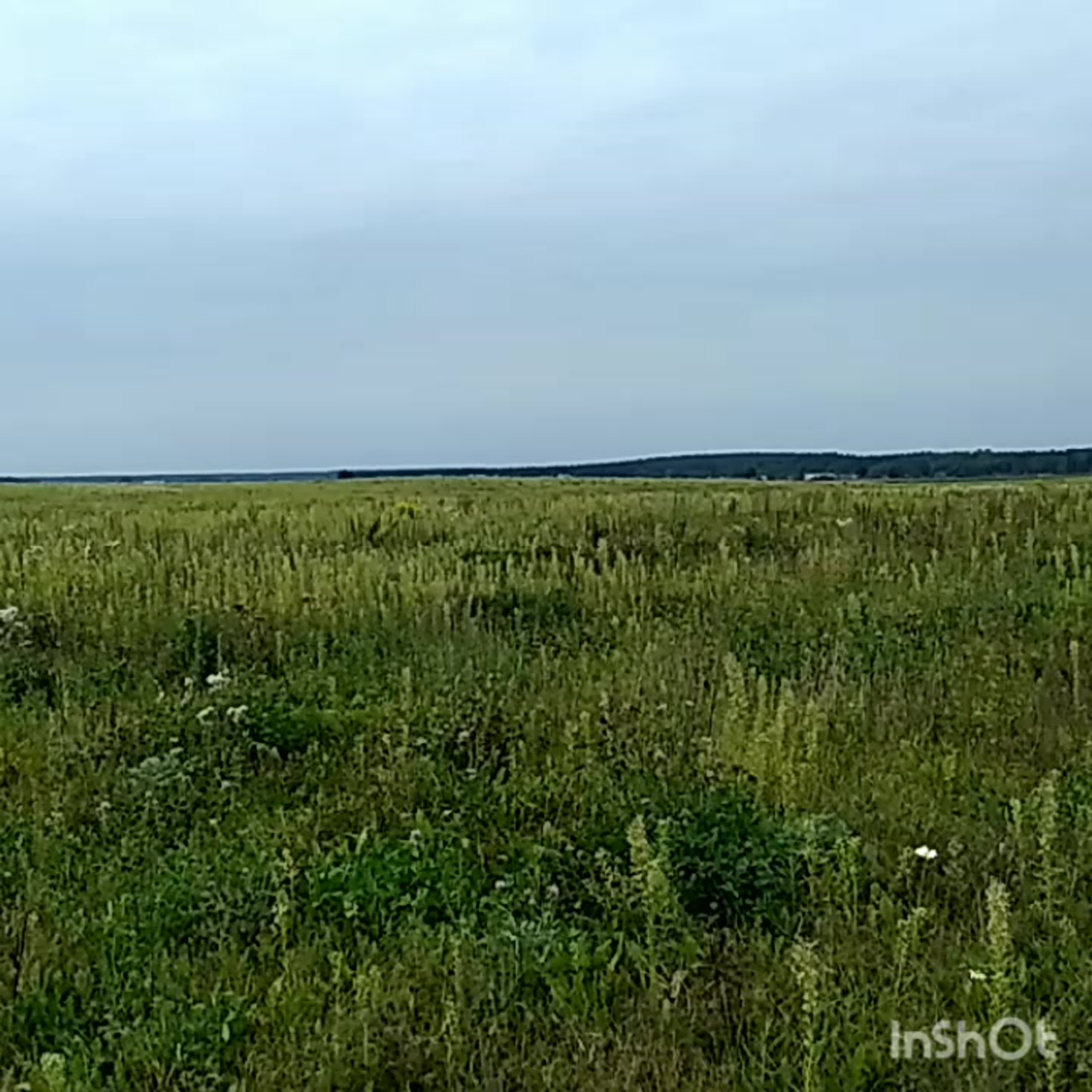 Флешмоб «Поднимаем в небо Ла-7»