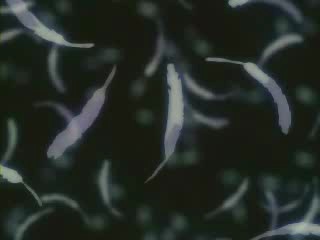 【Ай-кетчи】