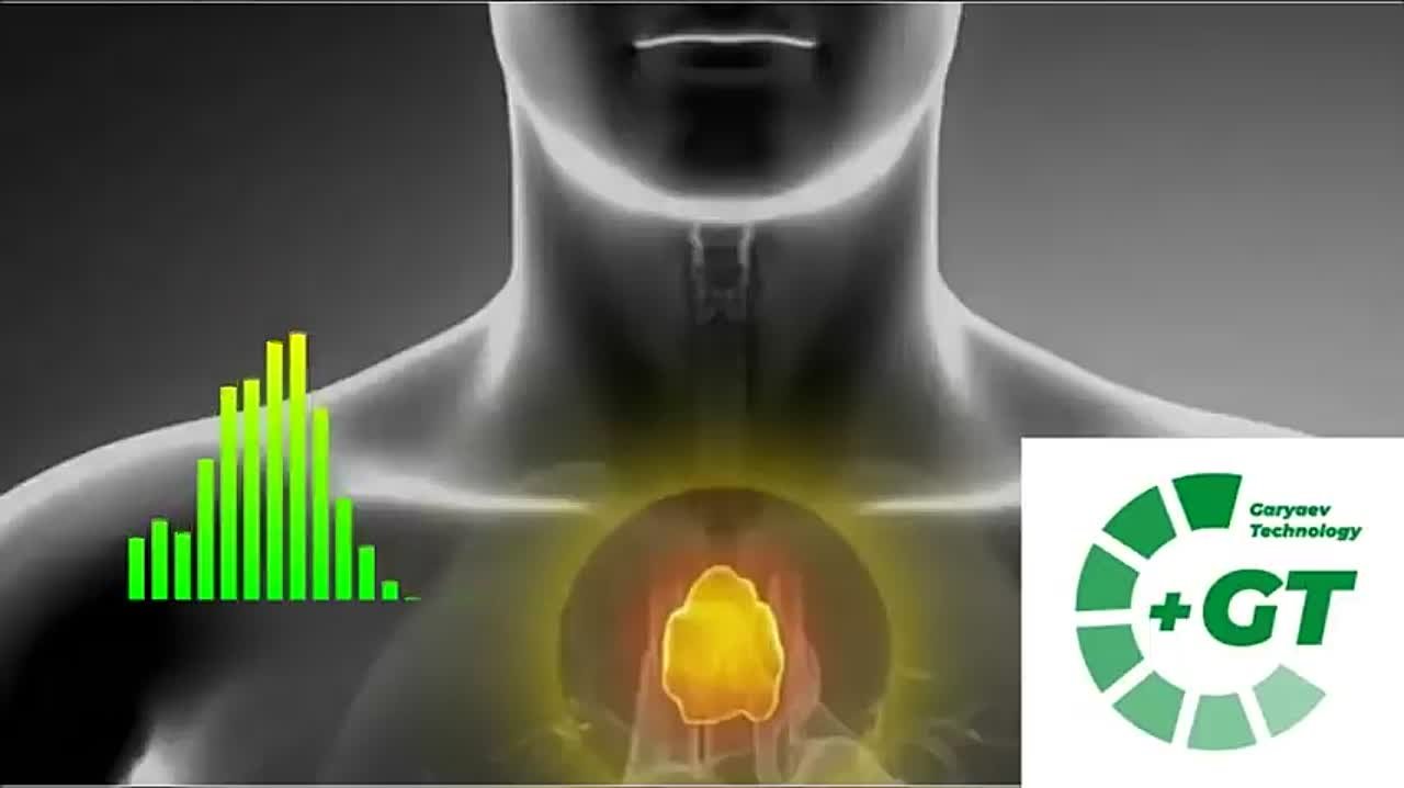 МАТРИЦЫ ГАРЯЕВА