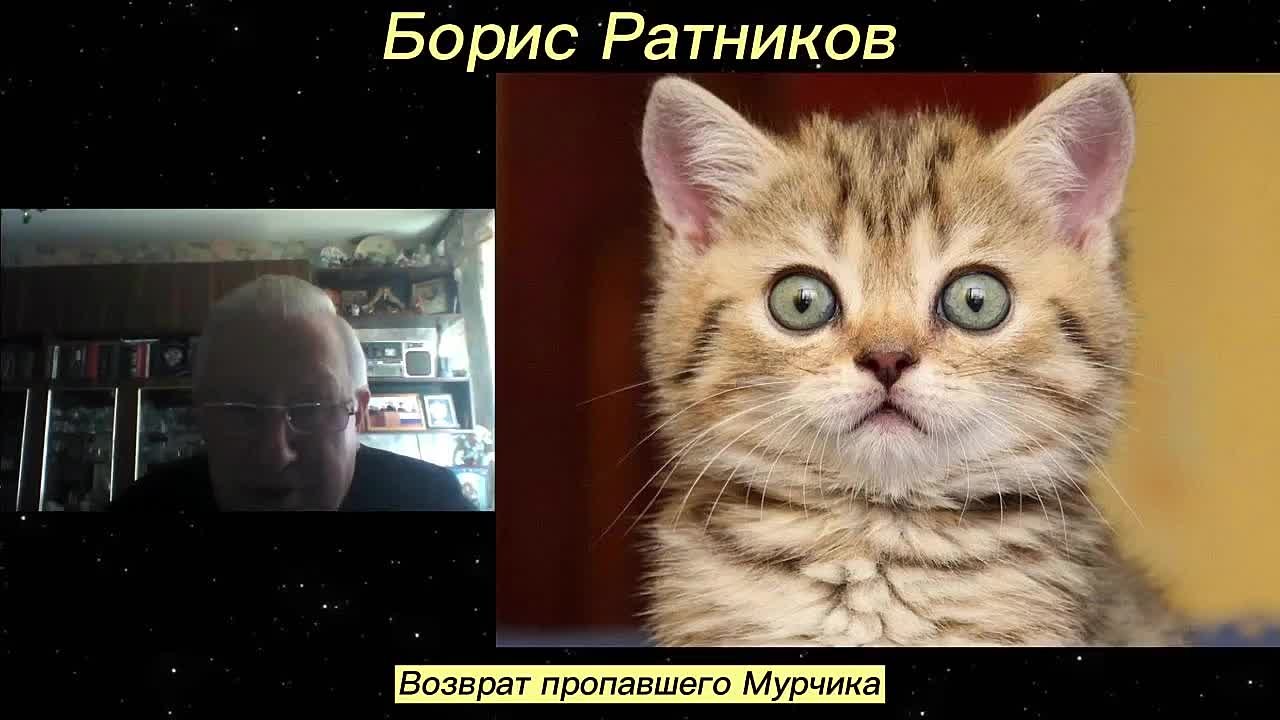 РАЗНОЕ