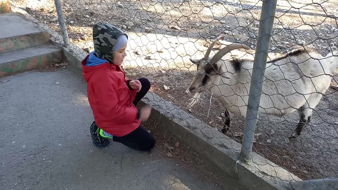 Случайный свидетель