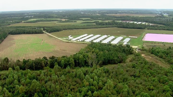 Здоровое питание