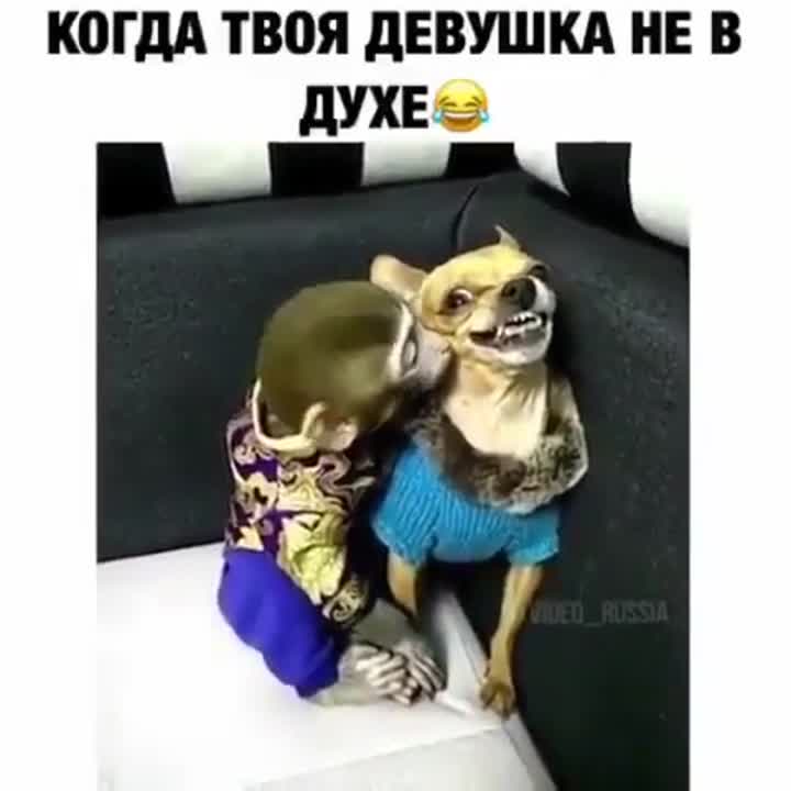 Приколы