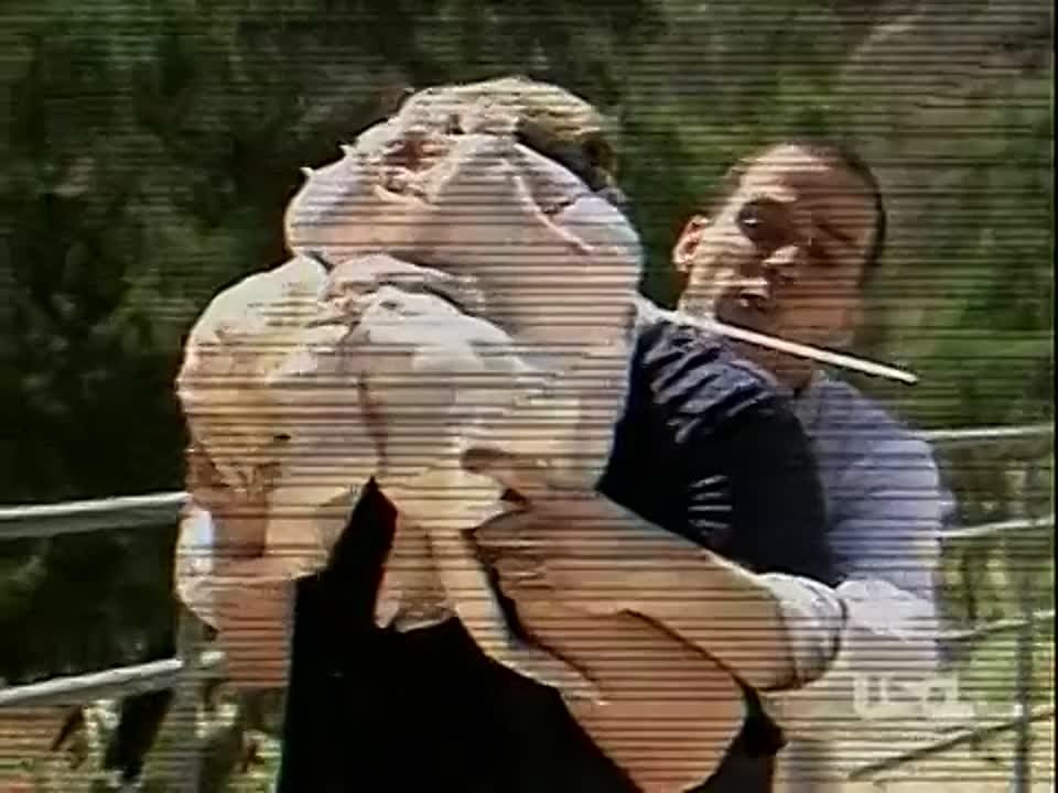 Dr. Steve-O - Season 1 [ENG]