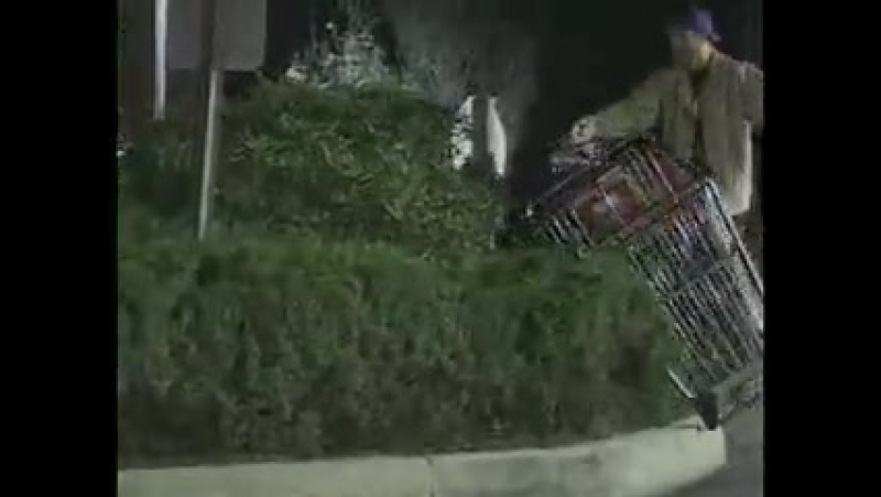 Jackass - Seasons 1-3 [ENG]