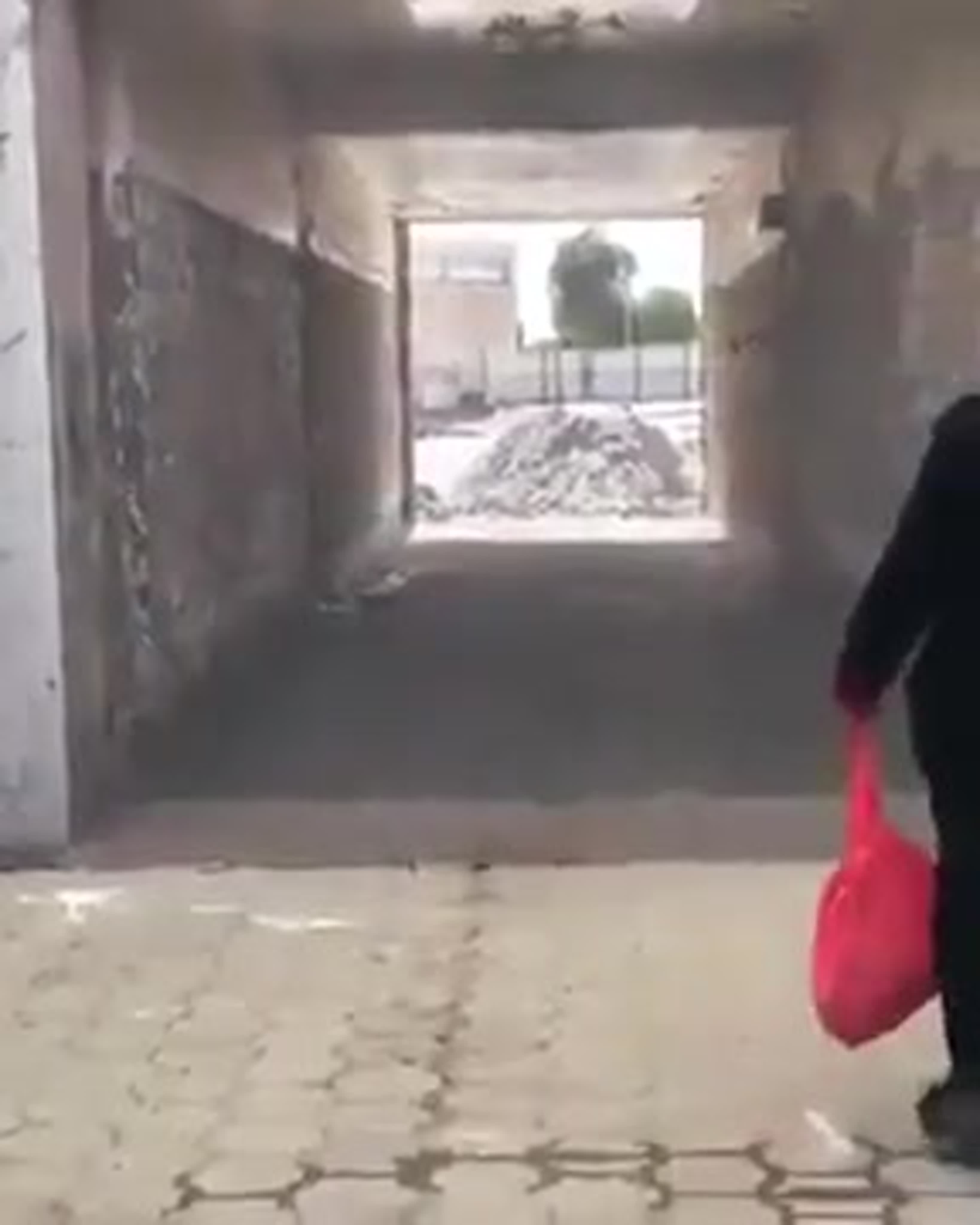 Живопись скульптура