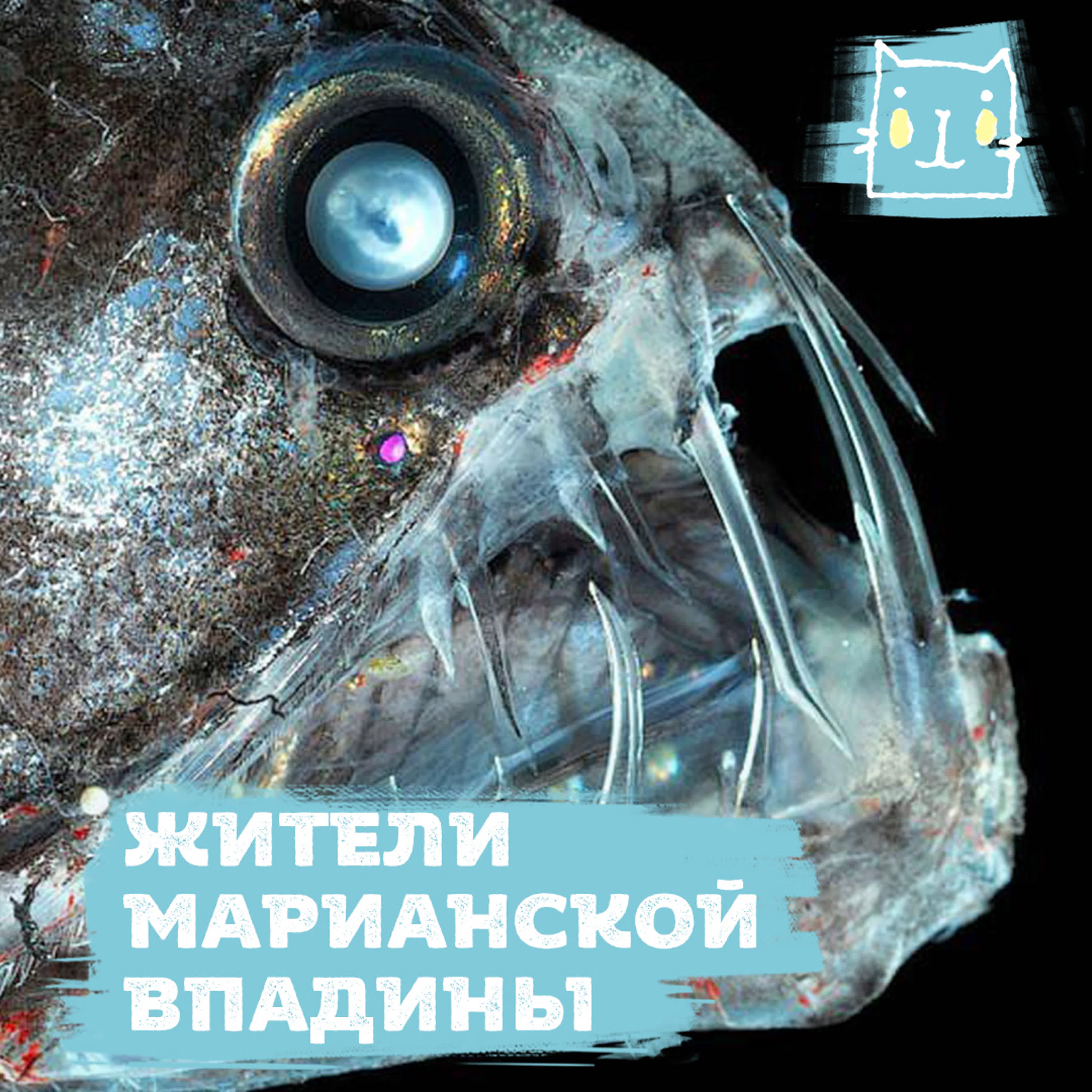 Разное о планете