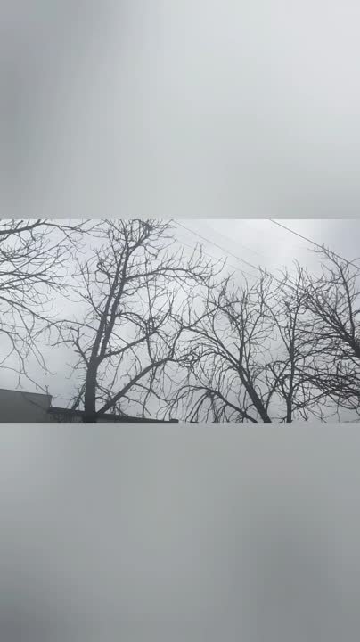 Добровольческий Форум Донбасс за нас