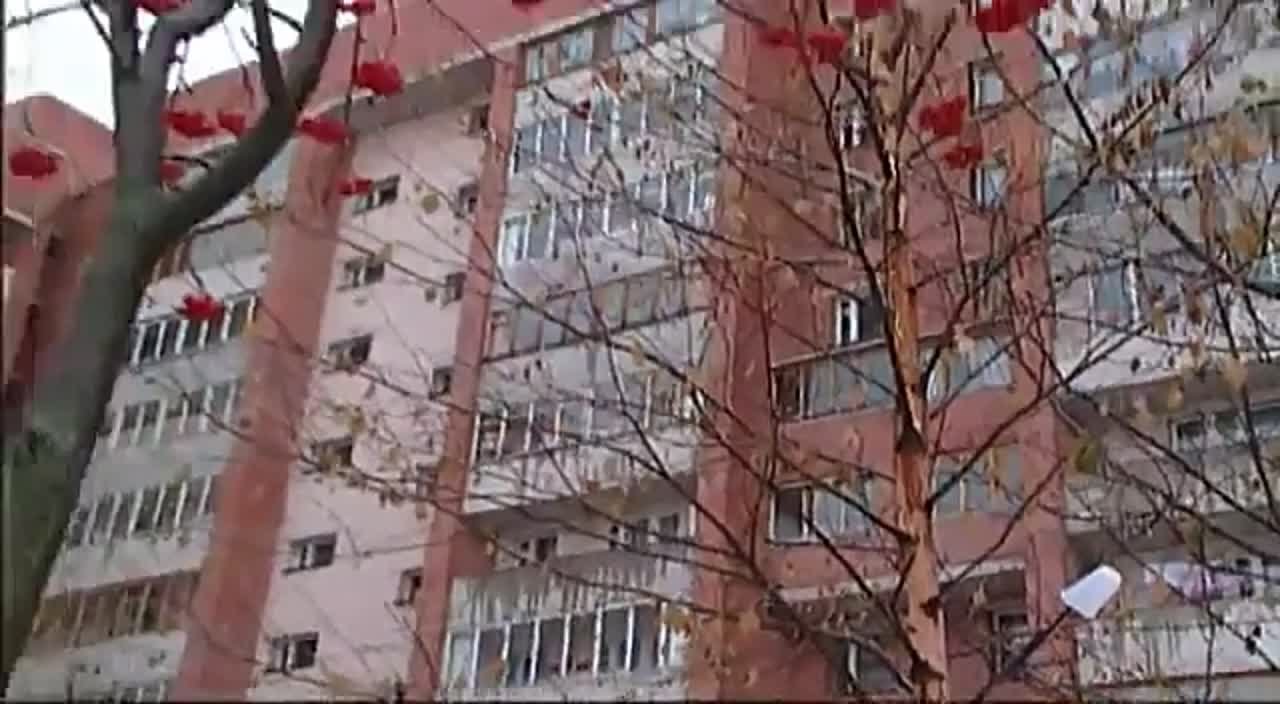 Осторожно ЗАДОВ