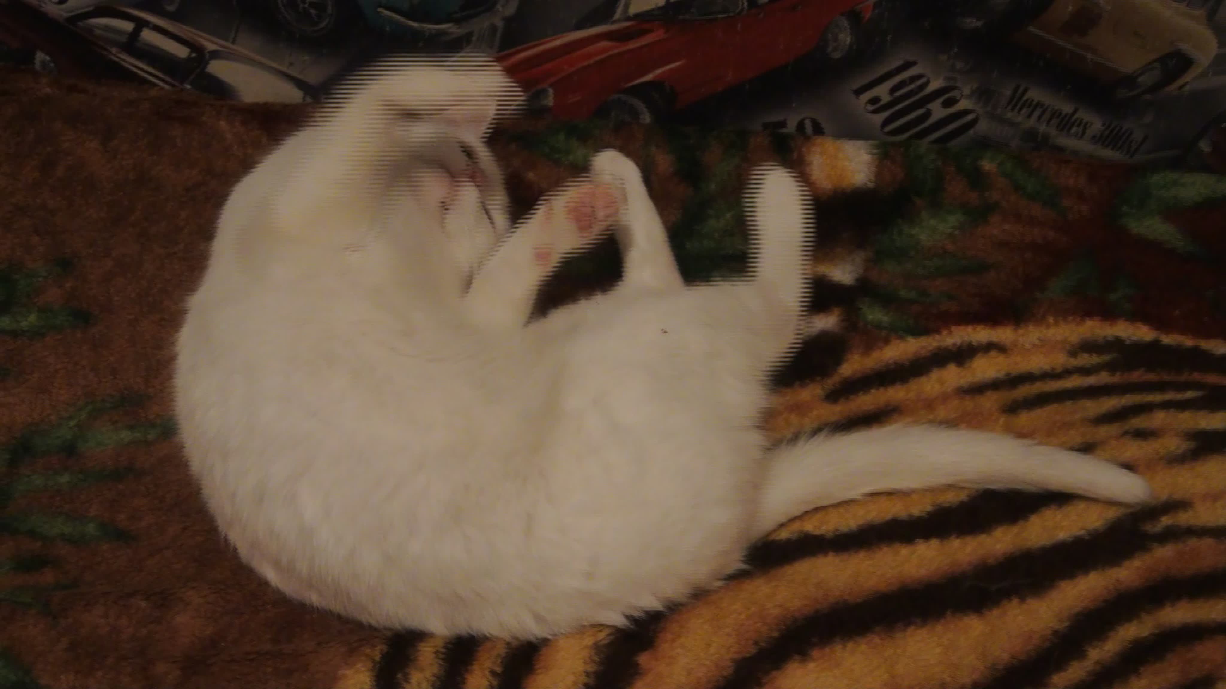 танцы. динамика движения