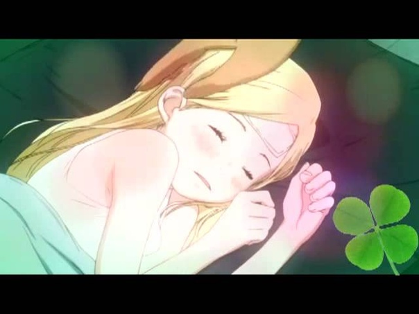 Honey and Clover