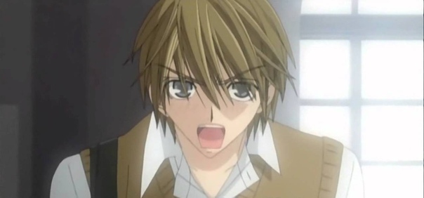 Junjou Romantica (18+)