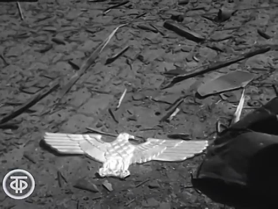 Документальные фильмы