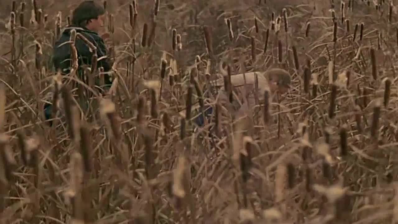 Фрагменты фильмов