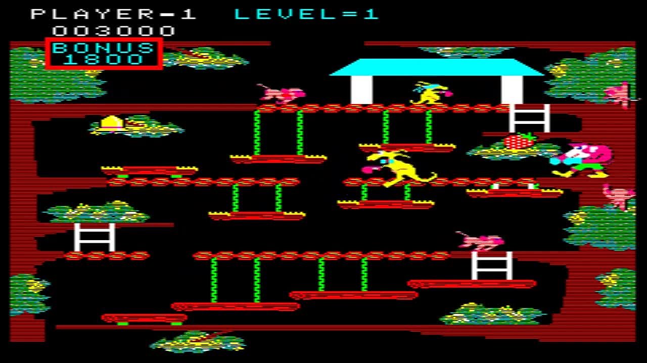 Kangaroo (June 1982)