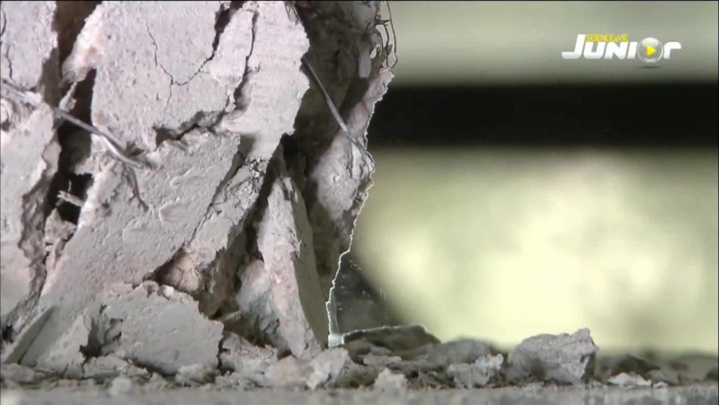 Şunu Bilin - Sachez-le (Science & Vie Junior Kuşağı)