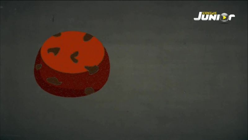 Ders Bay Kapich - La bonne leçon de M. Kapich (Science & Vie Junior Kuşağı)