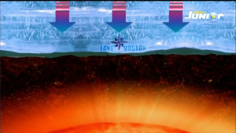 Hayret - Stupefaits (Science & Vie Junior Kuşağı)