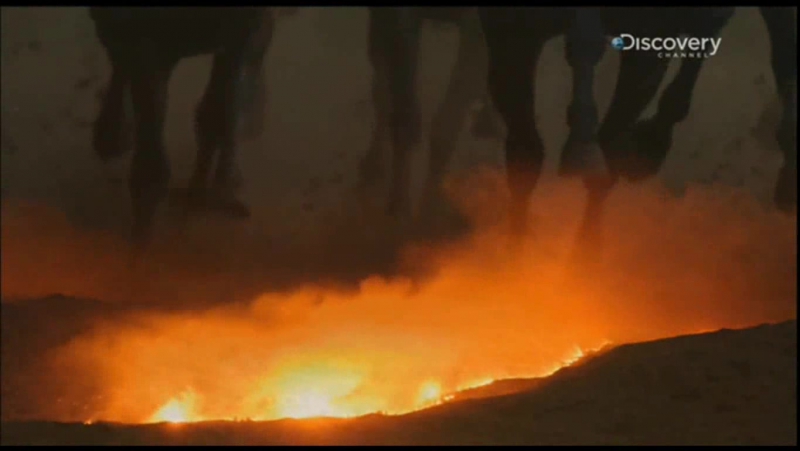 Nasıl Oluyor - What On Earth (Discovery Channel)