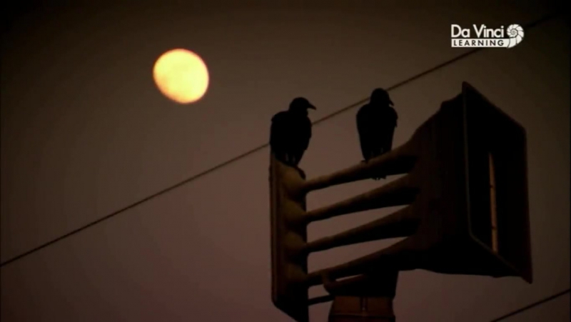 Kod - Code (3 Bölüm/BBC)