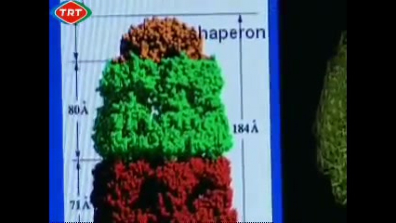 Küçük Muhteşemdir - TRT (13 Bölüm)