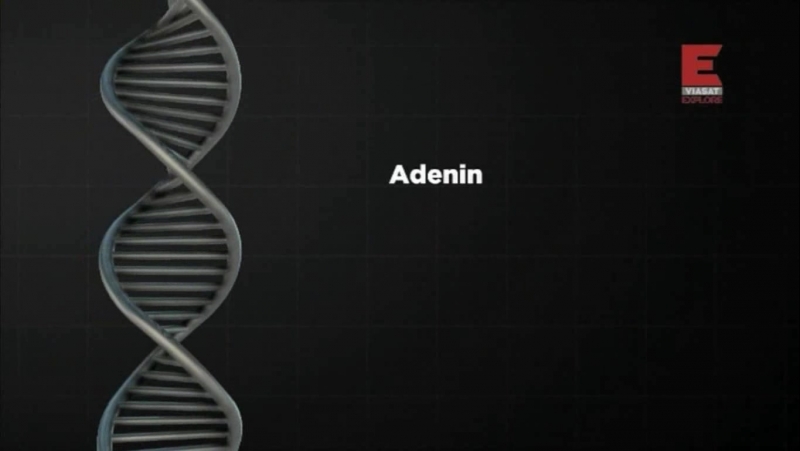 Tuhaf İcatlar (Süper Buluşlar) - Wicked Inventions (Viasat History HD)