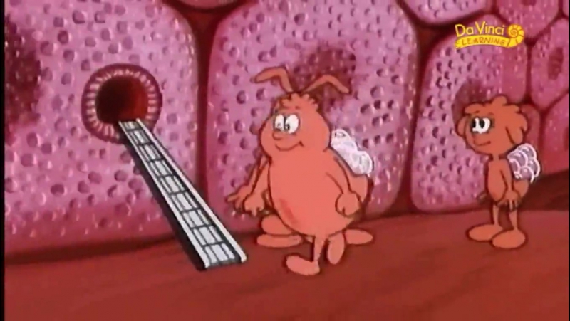 Bir Varmış Bir Yokmuş : Vücudumuzu Tanıyalım - Il était une fois : la Vie (26 Bölüm)