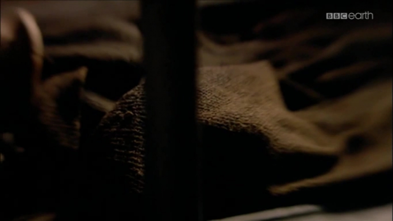 Vikingler - Vikings (3 Bölüm/BBC Earth)